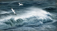 1366-Off-Niarbyl-Gannets