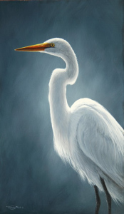 1393-Great-white-egret