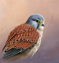 1397-Kestrel-stamp