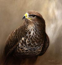 1400-Buzzard-stamp