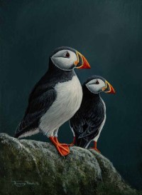 1430-puffins-photo