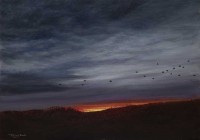 1440-Heading-to-roost-- Jackdaws