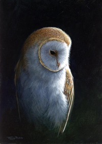 1441-By-the-light-barn-owl