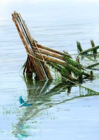 1444-'All that remains'-kingfisher