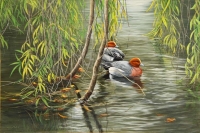 738-willow-and-widgeon