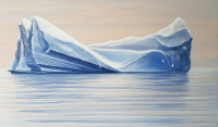 Iceberg - Antarctic petrels