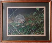 Hedgehog