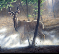275 Kudu and dust