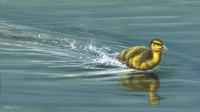 739-speeding-duckling