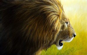 David Shepherd Wildlife Foundation Wildlife Artist of the Year 2016