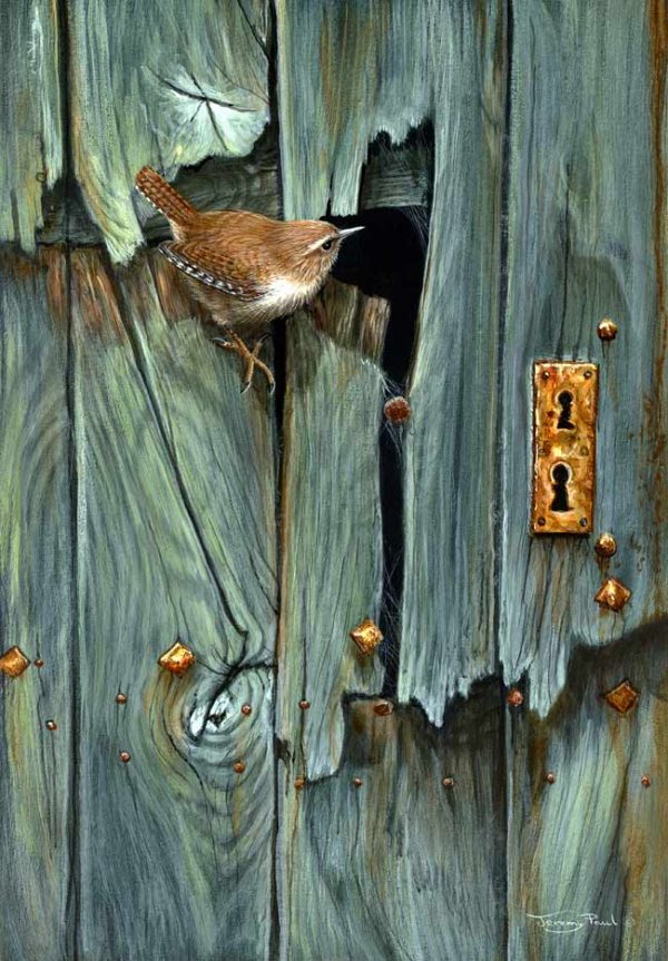 1161 broken door wren