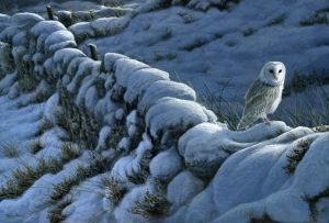 1020 winter wall barn owl 22x15