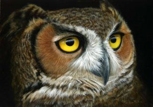 1091 Great Horned owl 12x9