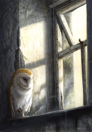 810 Barn owl window light