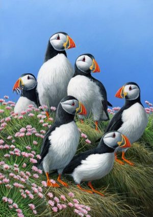 878 Puffins