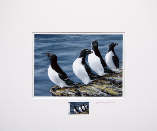 stamp razorbills