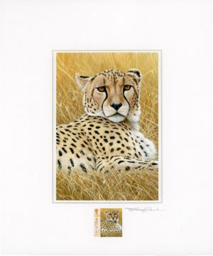 cheetah stamp