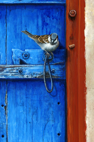 1143 Sparrow Rajasthan door