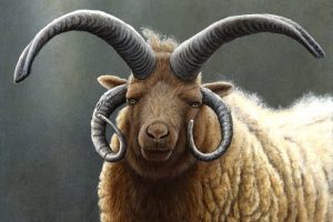 830 Loaghtan Ram