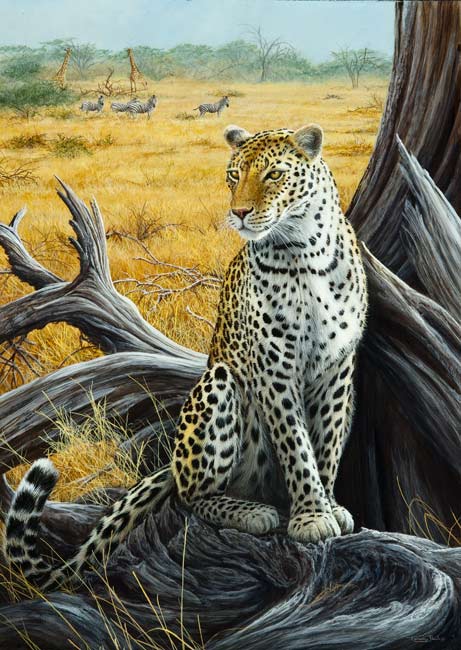 934 Leopard