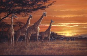 JP23 Savannah Sundown 56x38cm £50