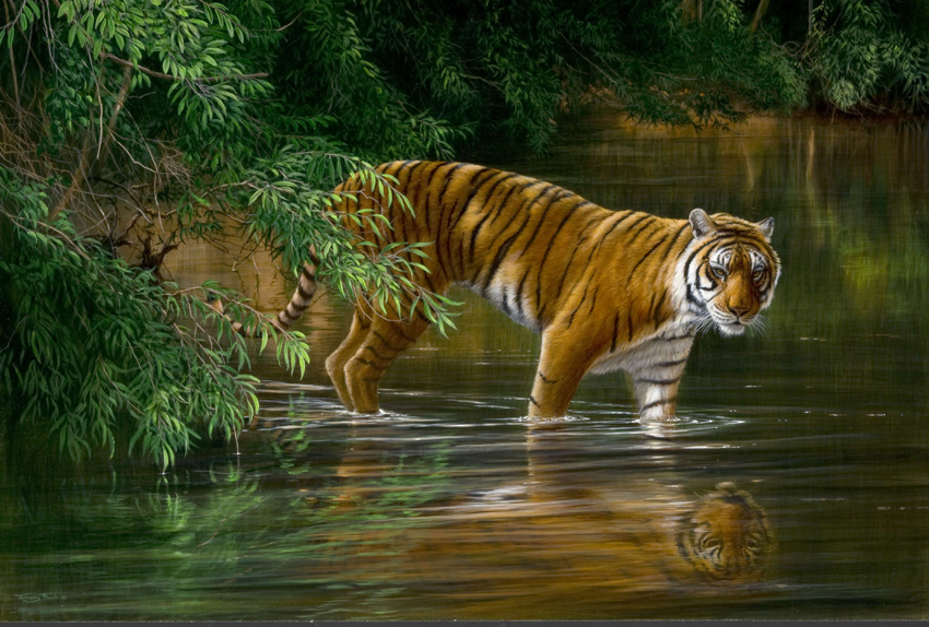 JP84 Jungle Odyssey - Tiger - Jeremy Paul Wildlife Artist