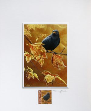 Blackbird a