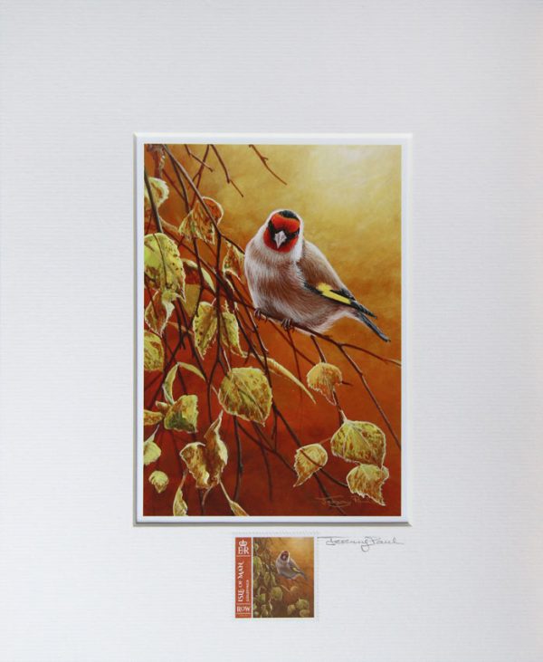 Goldfinch a