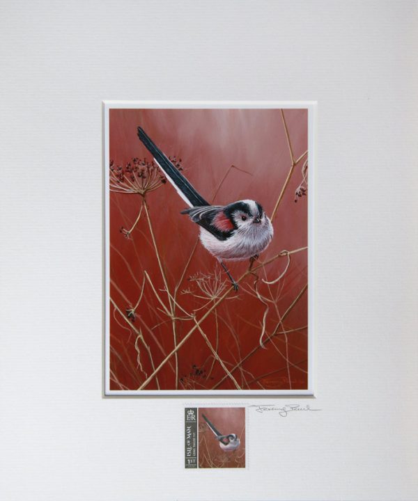 Long Tailed tit a