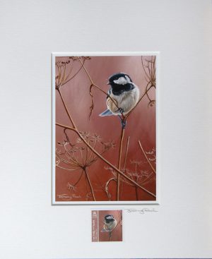 coal tit a