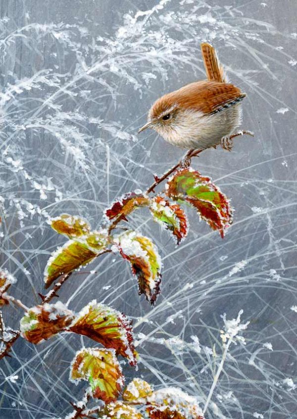 1223 falling snow wren