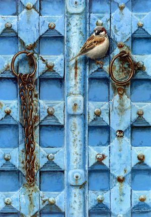 1301 Blue door 2 house sparrow