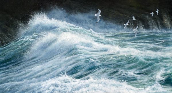 1303 Surge kittiwakes