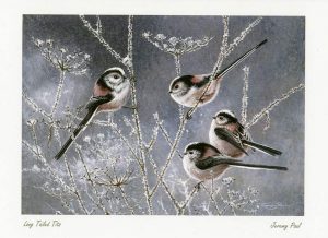 M LTT