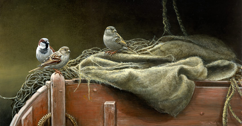 1352 winnowing sparrows 1352 winnowing sparrows