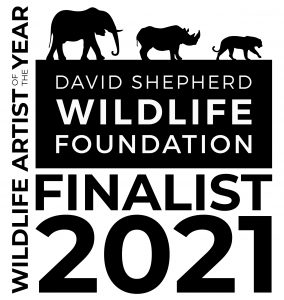 DSWF WAY Badge Finalist m21420