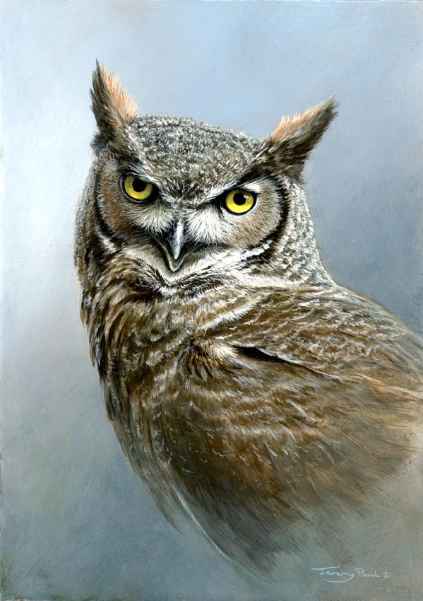 1354 great horned owl 12x9 1
