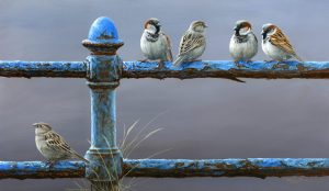 1374 Social distancing House sparrows