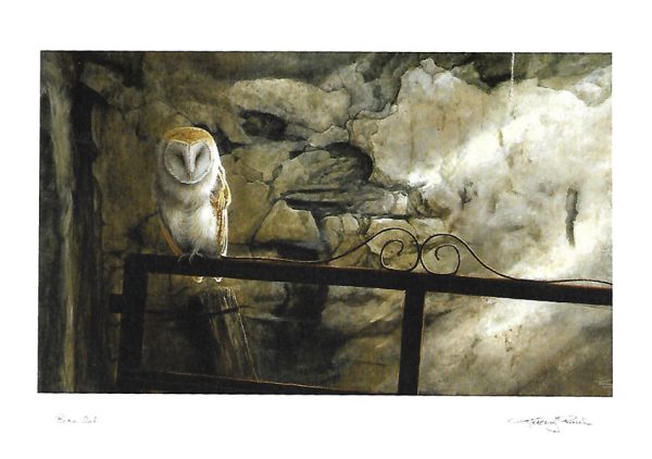 barn owl card