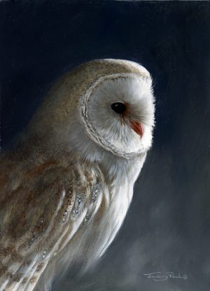1410 Barn owl oil