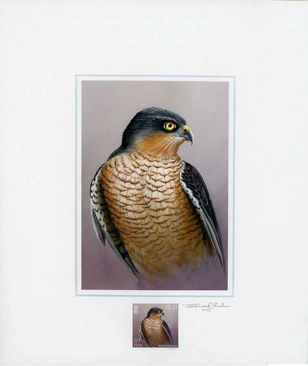 Sparrowhawk.scan