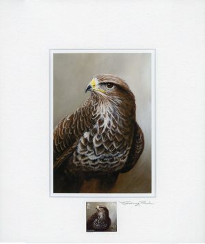 buzzard scan