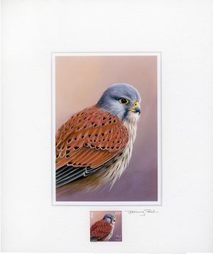 kestrel scan